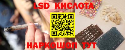 индика Кандалакша