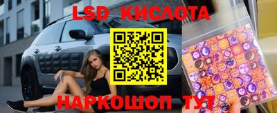 индика Кандалакша