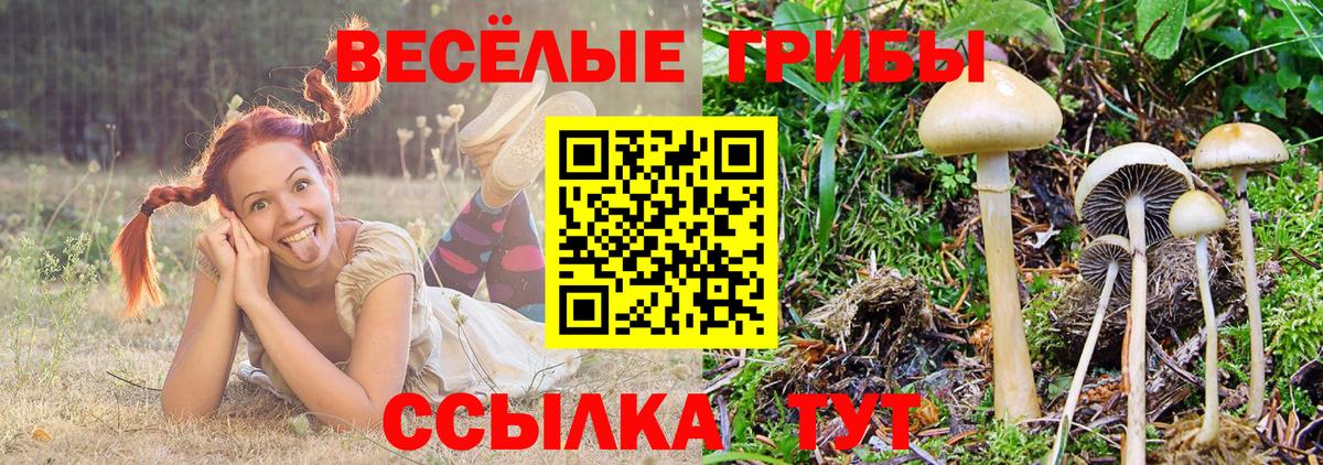Галлюциногенные грибы Magic Shrooms Томск