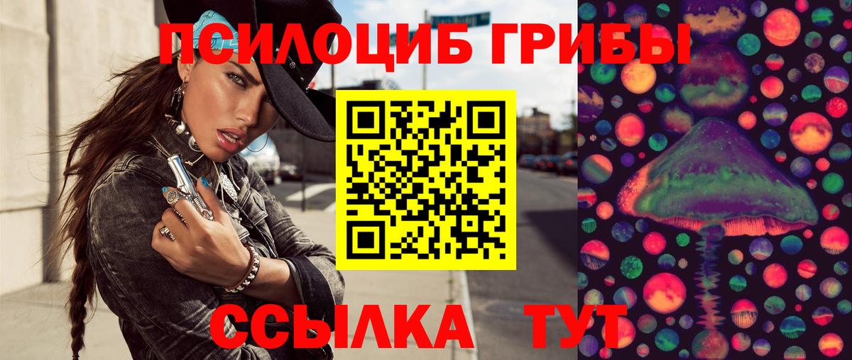 Галлюциногенные грибы MAGIC MUSHROOMS  Галлюциногенные грибы MAGIC MUSHROOMS  Томск  закладка  Вход с VPN 